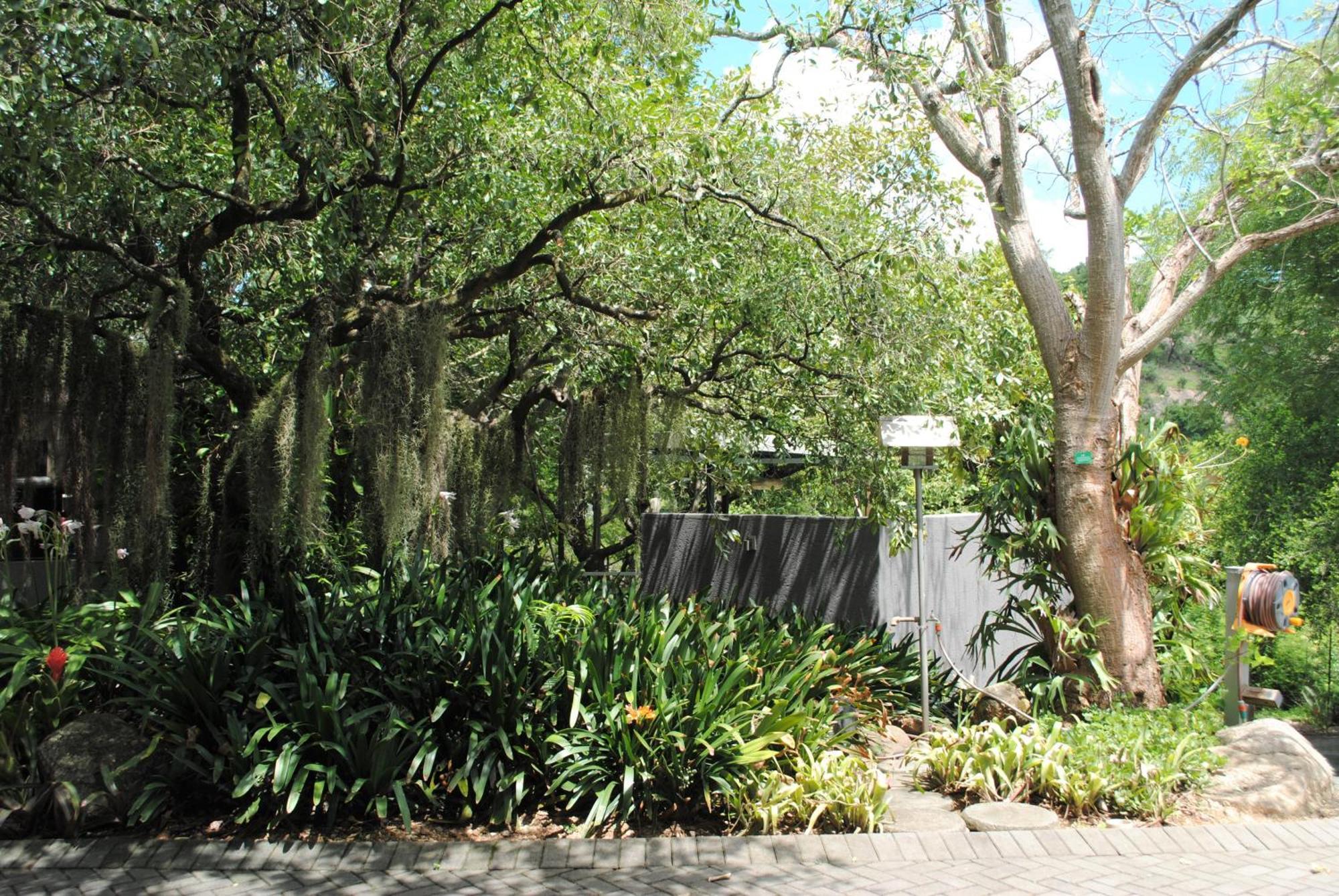 Birds Babble Self Catering Hotel Mbombela Eksteriør billede