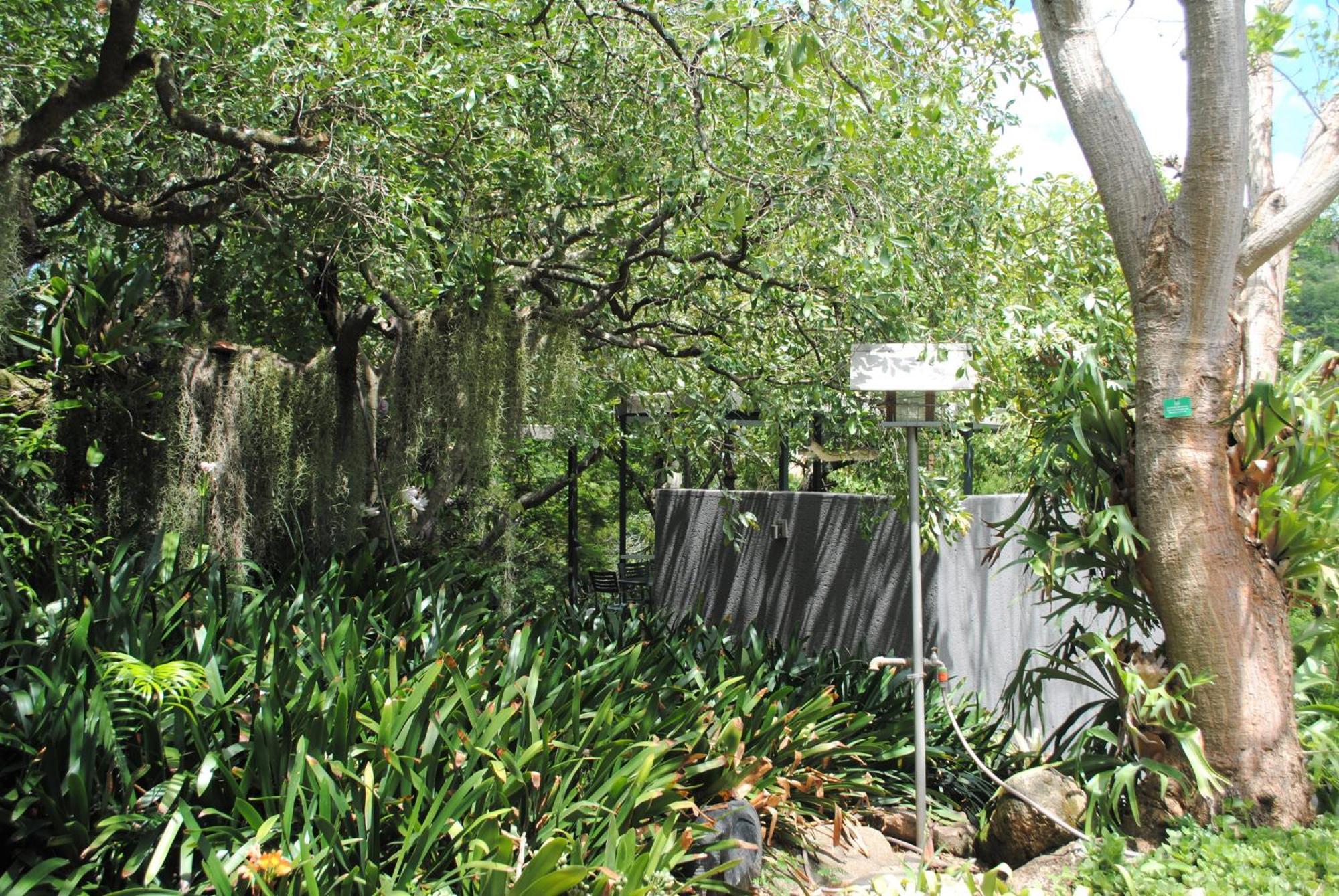 Birds Babble Self Catering Hotel Mbombela Eksteriør billede