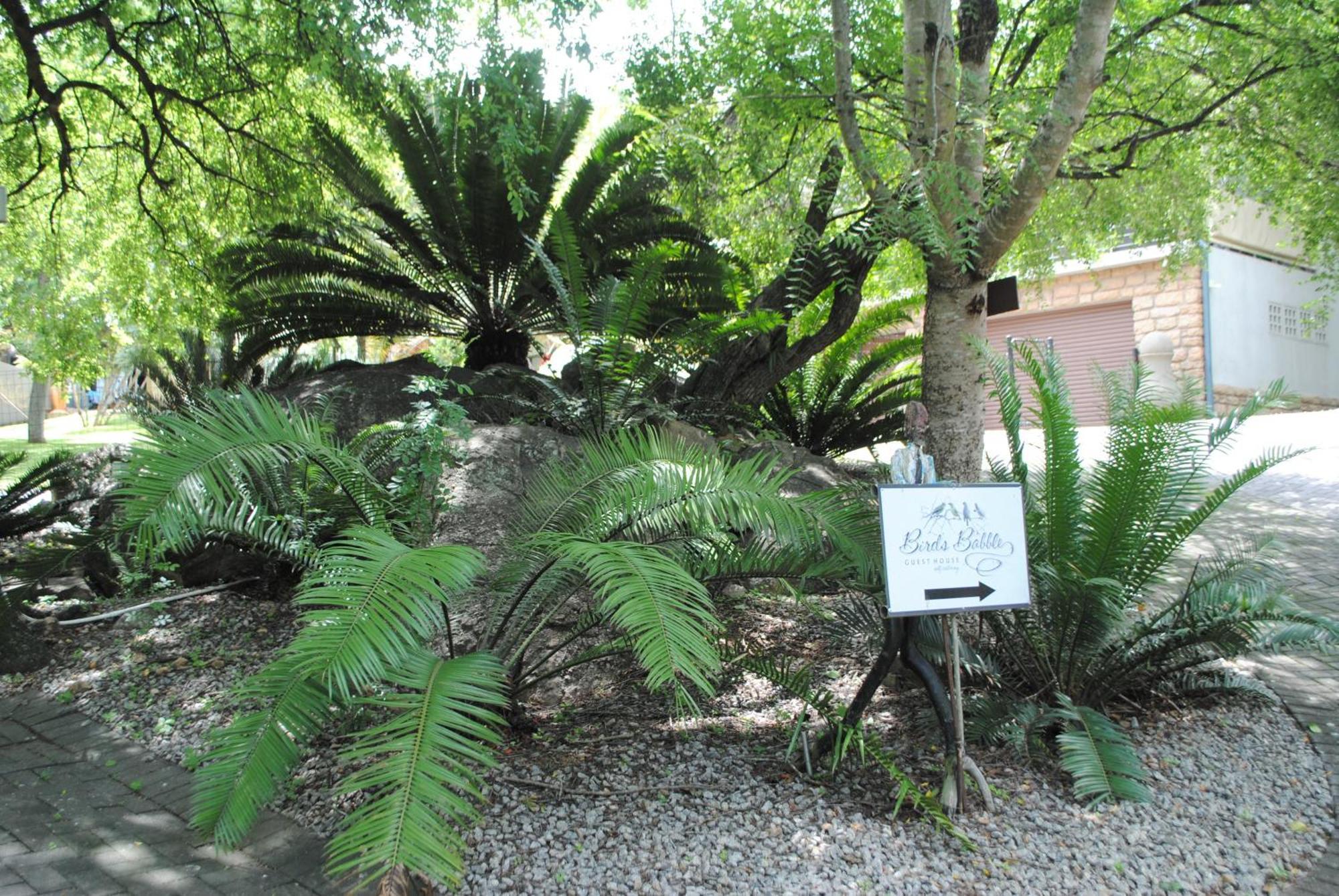 Birds Babble Self Catering Hotel Mbombela Eksteriør billede