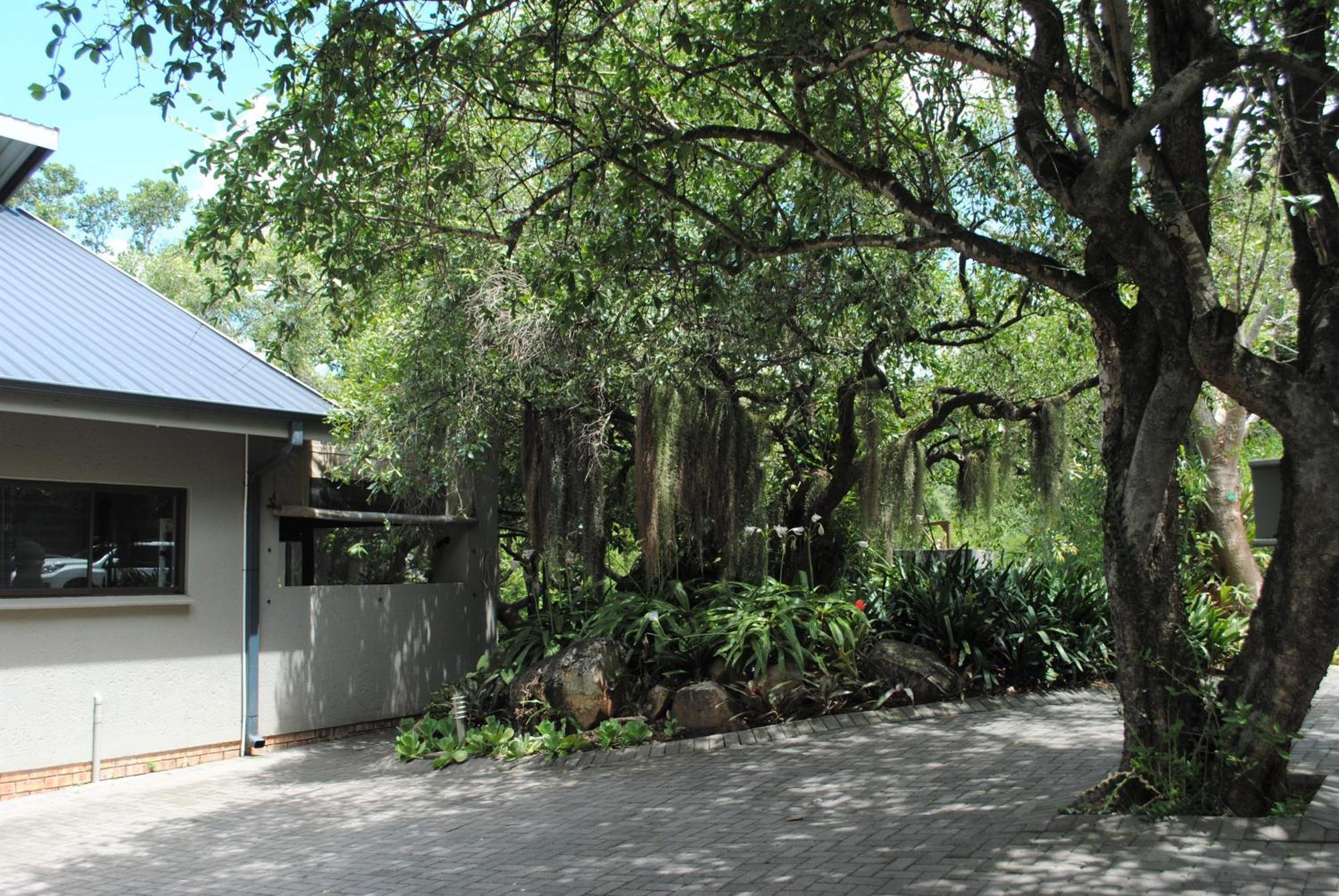 Birds Babble Self Catering Hotel Mbombela Eksteriør billede
